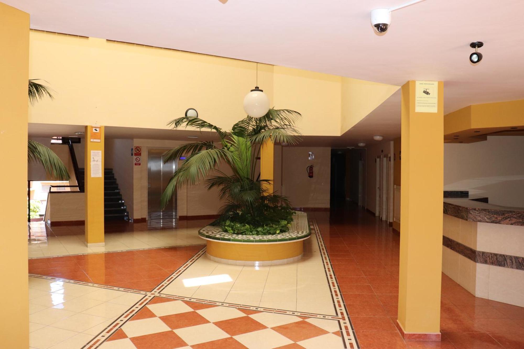 Estupendo Apartamento Puerto de Santiago  Dış mekan fotoğraf